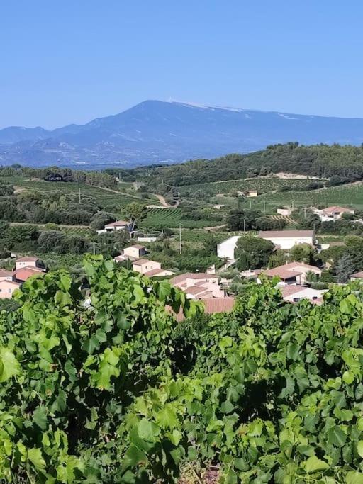 Maison De Village Châteauneuf-du-Pape Εξωτερικό φωτογραφία